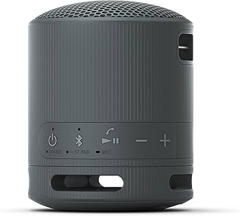 Amazon.com: Sony SRS-XB100 Wireless Bluetooth Portable Lightweight
