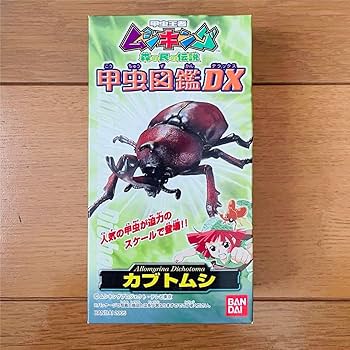 Amazon.co.jp: ムシキング 甲虫図鑑DX 新甲虫図鑑DX : おもちゃ