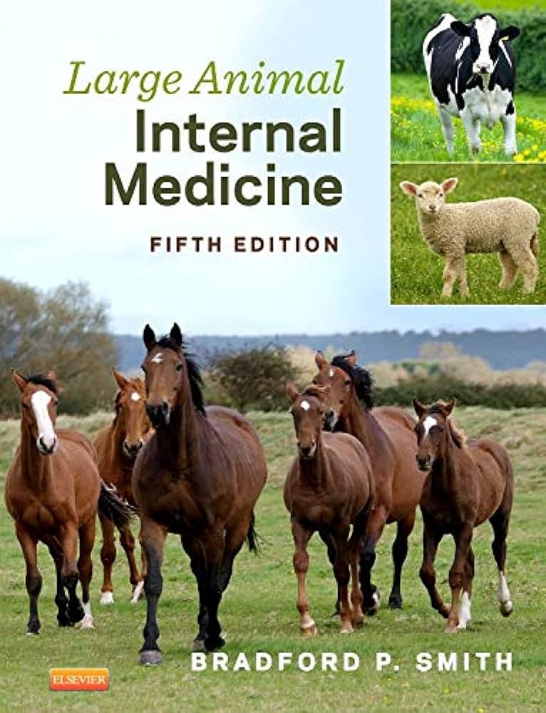 Large Animal Internal Medicine: 9780323088398: Medicine & Health