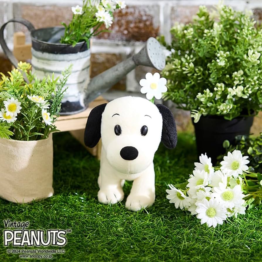 71NkRIImvRL._AC_UF894,