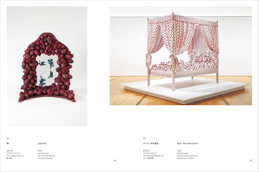 Amazon.co.jp: 部屋のみる夢 ボナールからティルマンス、現代の作家