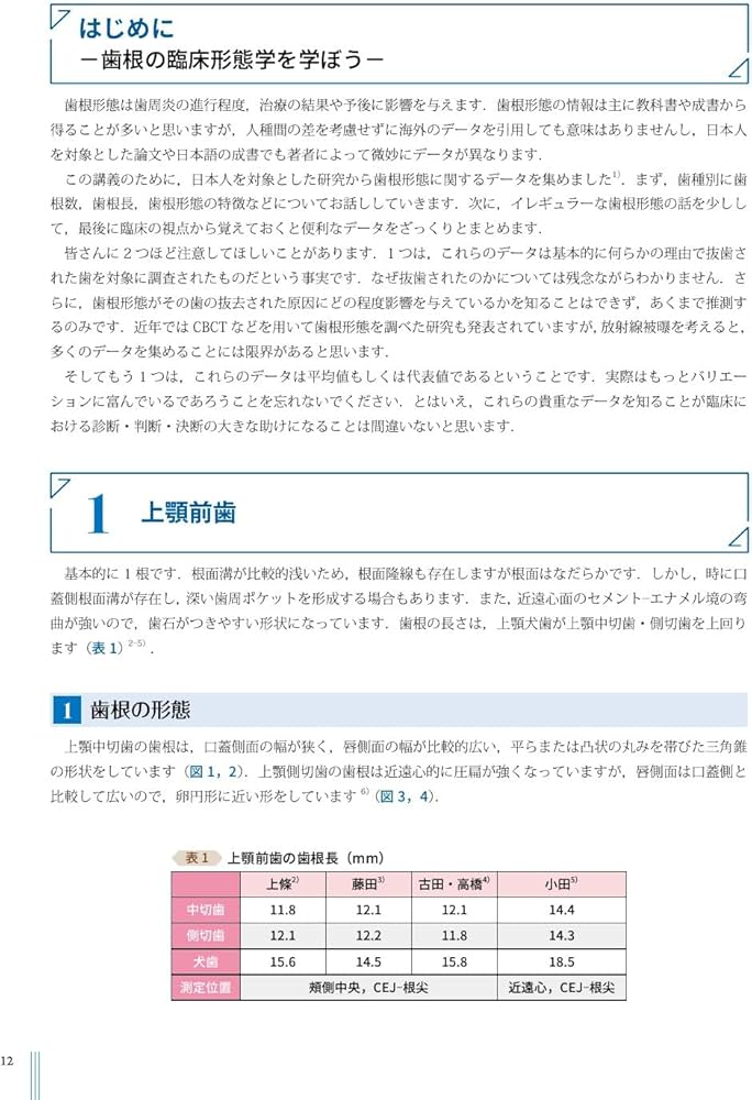 超音波”を攻略せよ ペリオドンタル・デブライドメント: プラス1 | 大野