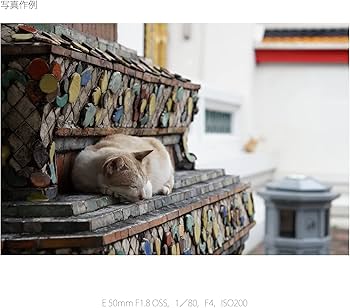 Amazon.co.jp: SONY(ソニー) 【レンズ と プロテクター セット】 大切