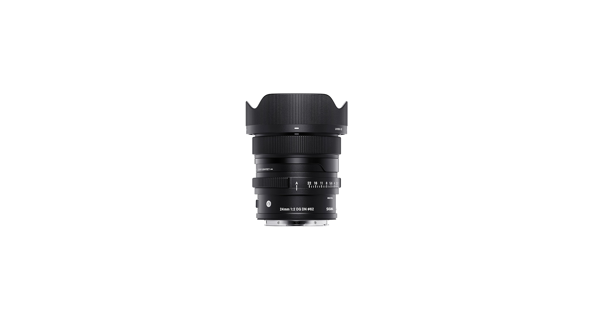Amazon.com : 24mm F2 DG DN for L-Mount : Electronics