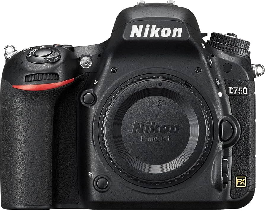 Amazon.com : Nikon D750 24.3MP DSLR Digital Camera with 18-140mm