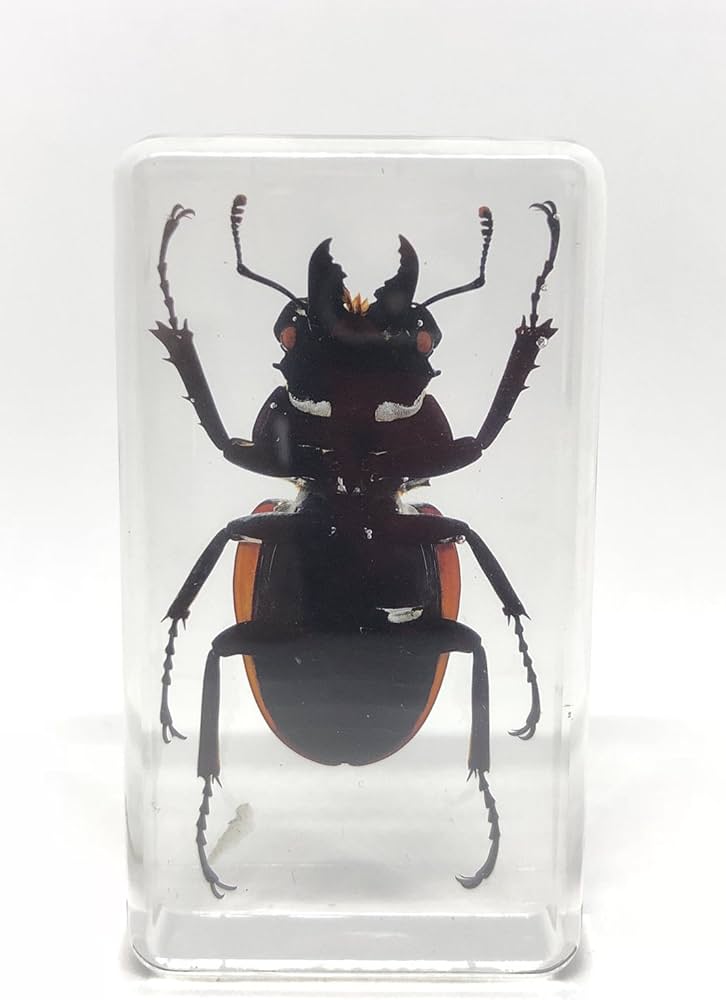 71OqjYwsYnL._AC_UF894,