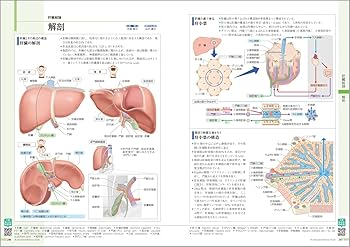 病気がみえるvol.1 消化器 第7版 | 医療情報科学研究所 |本 | 通販