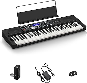Amazon.co.jp: CASIO: 全商品一覧/キーボード＆ピアノ