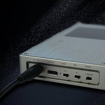 Amazon.co.jp: 【VGP2026 金賞】iBasso Audio PB6 MACAW アイバッソ