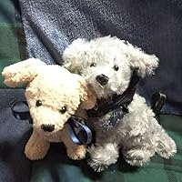 私の愛する犬たち (レッスンシリーズ) | ささき のん |本 | 通販 | Amazon