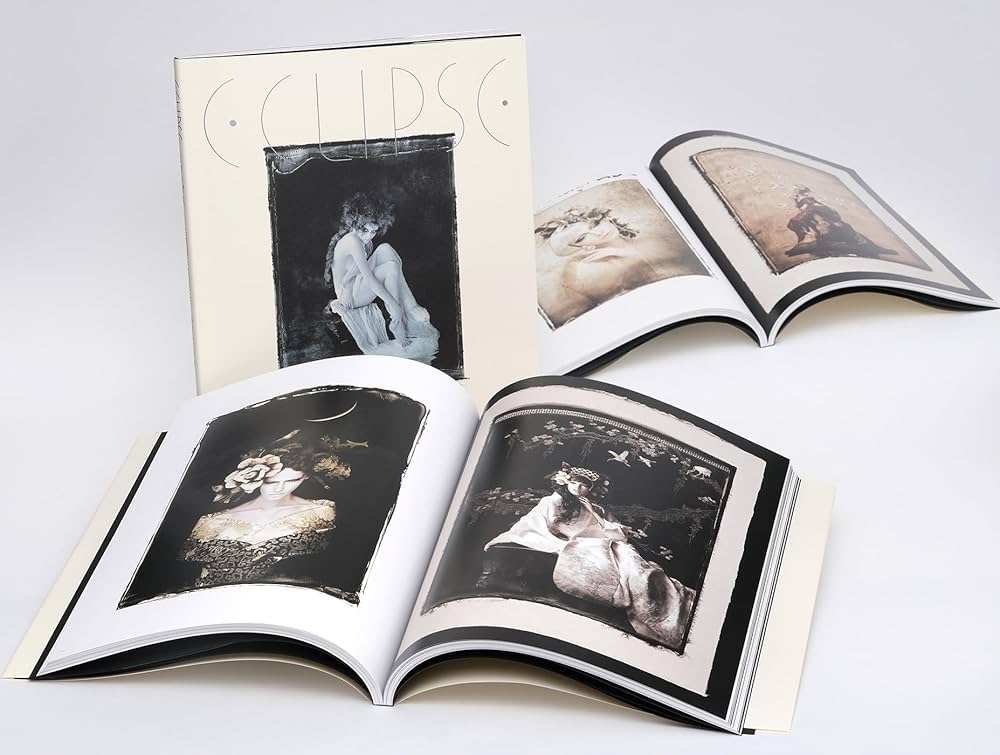 71PVgldr-XL._AC_UF1000,