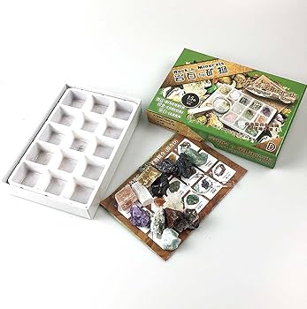 Amazon.co.jp: 鉱石標本 - ネームシート付き天然水晶宝石石鉱物,15個の