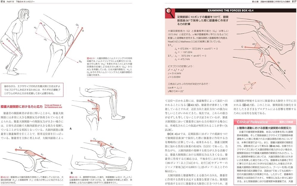Amazon.co.jp: オーチスのキネシオロジー 身体運動の力学と病態力学