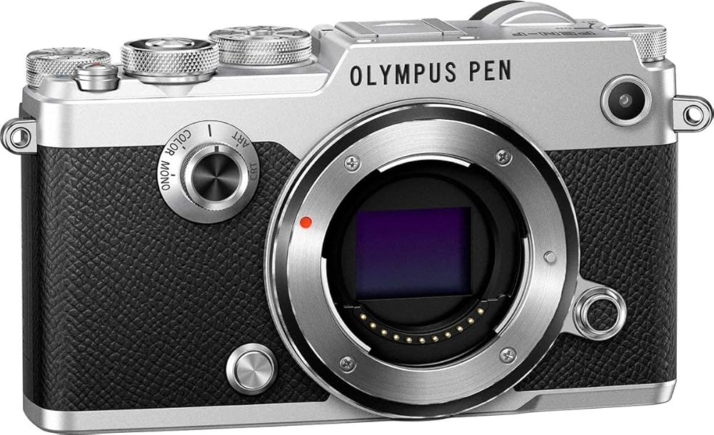 Amazon.co.jp: OLYMPUS PEN-F Body SLV Mirrorless Camera : Electronics