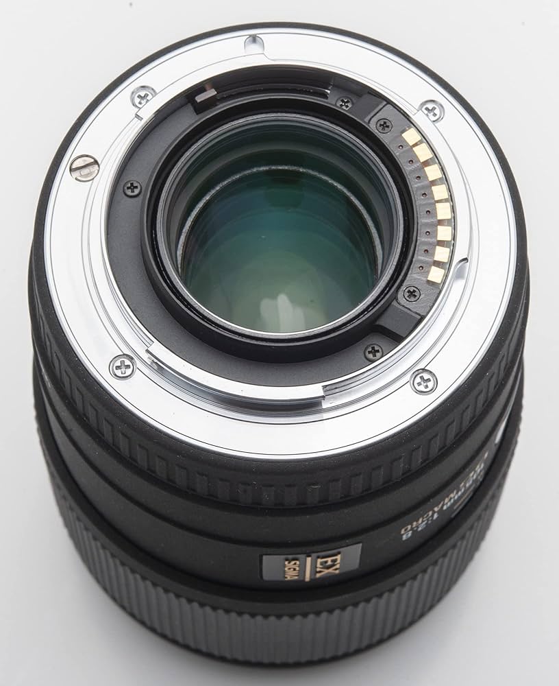 Amazon.co.jp: シグマ 105mm F2.8 EX DG MACRO ソニー用 : 家電＆カメラ