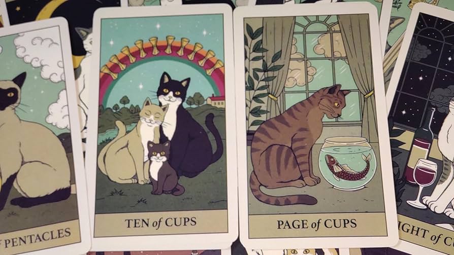 Amazon.co.jp: [AZAASU] 猫タロット 78枚 タロットカード 占いデッキ