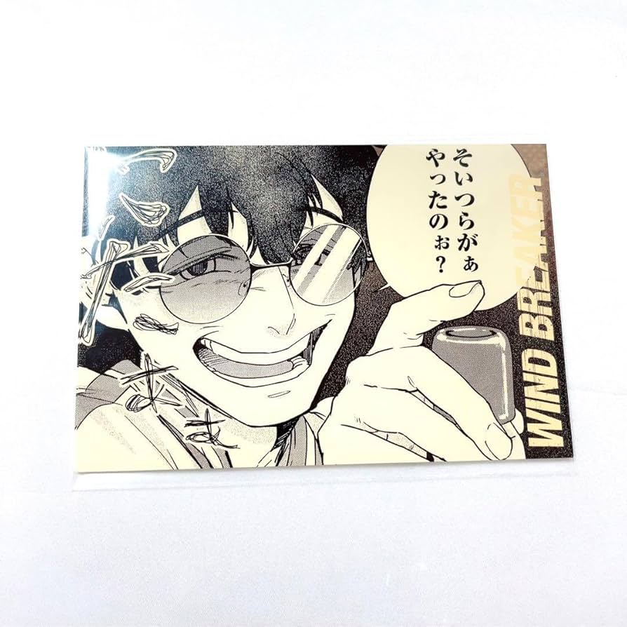 Amazon.co.jp: WIND BREAKER ウィンドブレイカー 十亀条 ポストカード