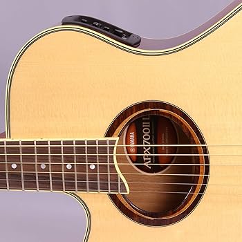 Amazon | Yamaha ヤマハ APX700IIL Thinline Cutaway レフトハンド