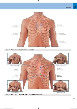 グレイ解剖学 原著第3版 電子書籍(日本語版・英語版)付 | Richard
