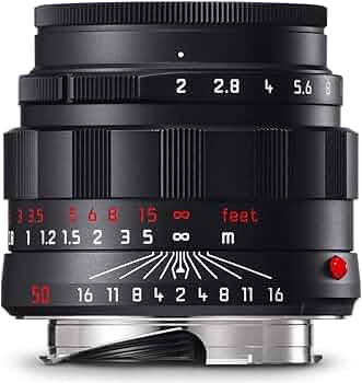 71RXfTRzgpL._AC_UF350,