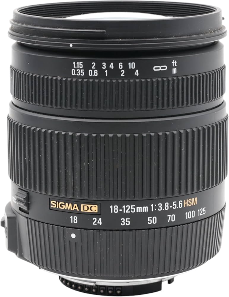 Sigma 18-125mm 3,5-5,6 DC OS HSM obiettivo per Nikon : Amazon.it