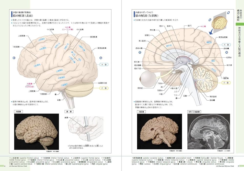 病気がみえる vol.7 脳・神経 第2版 | 医療情報科学研究所 |本 | 通販