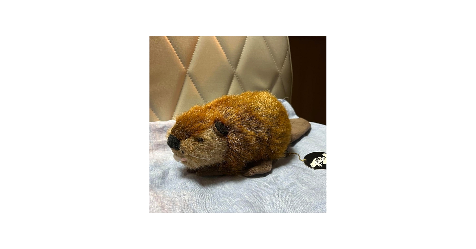 Amazon.co.jp: SUPER BEAVER×吉徳 ぬいぐるみ スーパービーバーちゃん