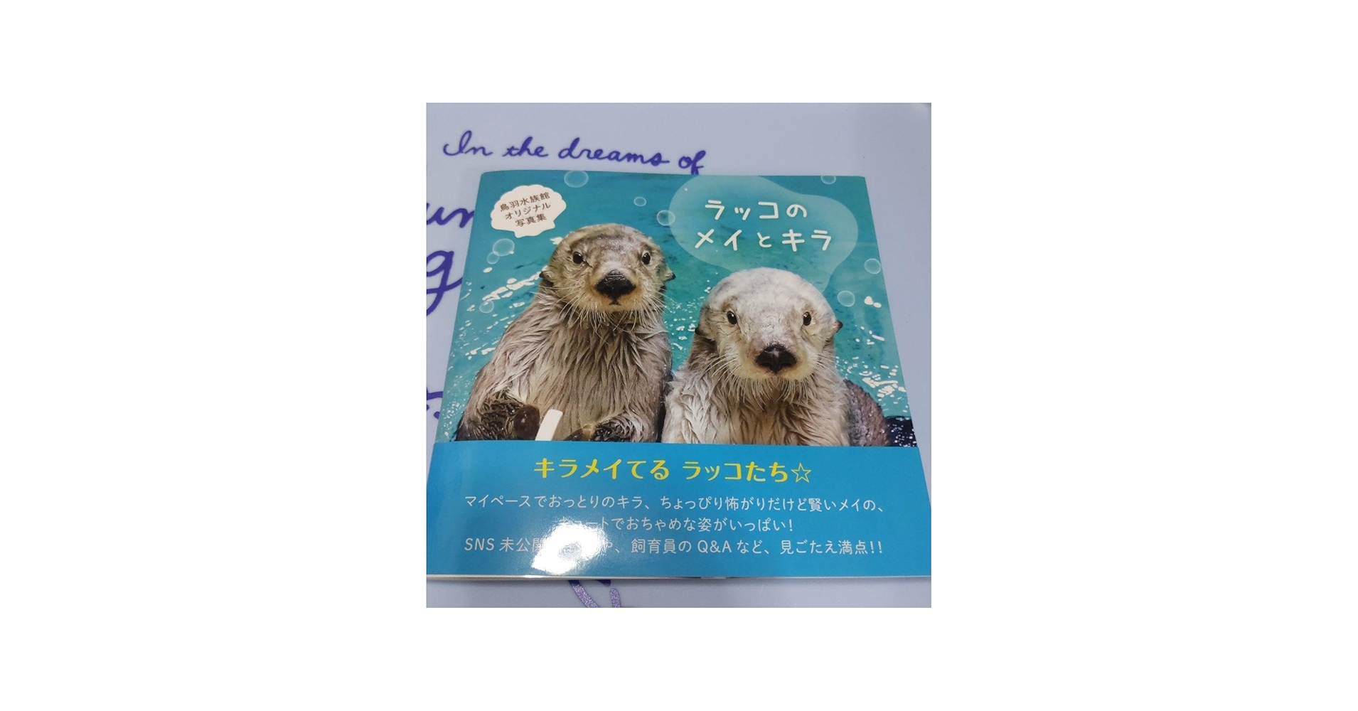 Amazon.co.jp: ラッコのメイとキラ 写真集 鳥羽水族館 : おもちゃ