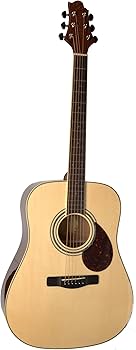 Amazon.co.jp: Samick Greg Bennett Design D5 アコースティックギター