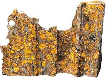 71SVxVFaMPL._AC_UF350,