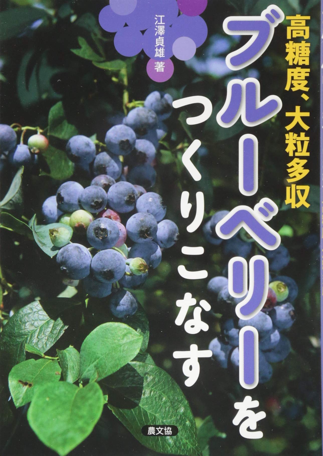 ブルーベリーをつくりこなす: 高糖度,大粒多収 | 江澤貞雄 |本 | 通販