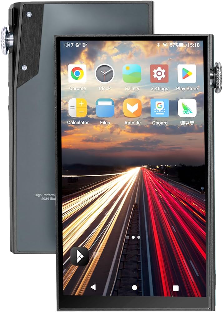 Amazon.co.jp: 【VGP2024Summer金賞】iBasso Audio DX180 アイバッソ