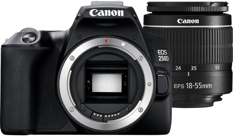 Amazon.com : Canon EOS 250D DSLR Camera with 18-55mm Lens (Black