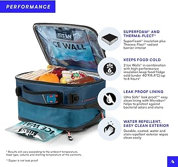 71T93Xkw-GL._AC_UF350,