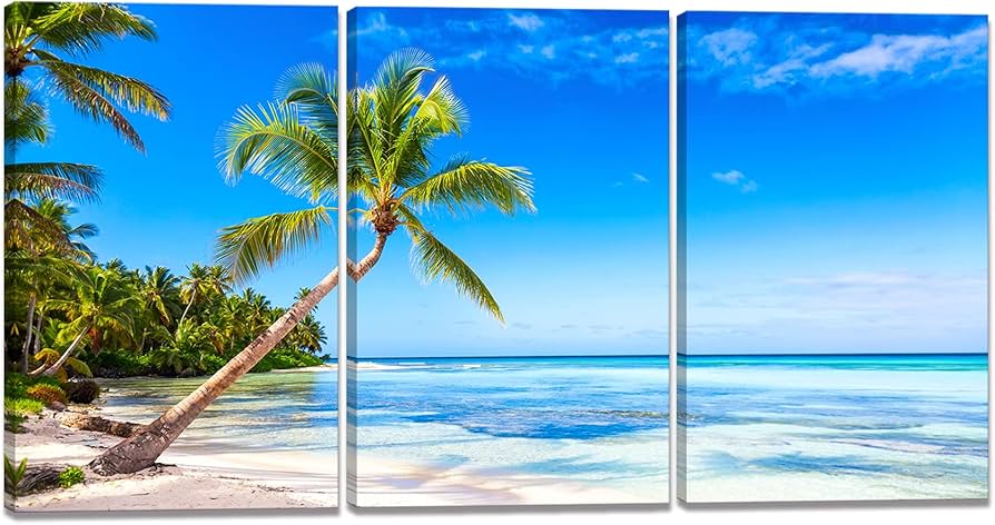 Amazon.co.jp: アートパネル 3枚 海 ココナッツ壁の絵 ポスター 海の絵