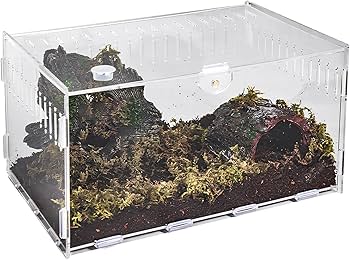 Amazon | 爬虫類 ケージ トカゲ ケージ カナヘビ飼育ケース レプタイル