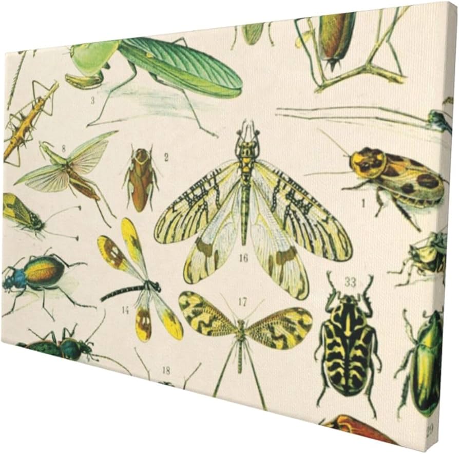 71TOigpb6oL._AC_UF894,