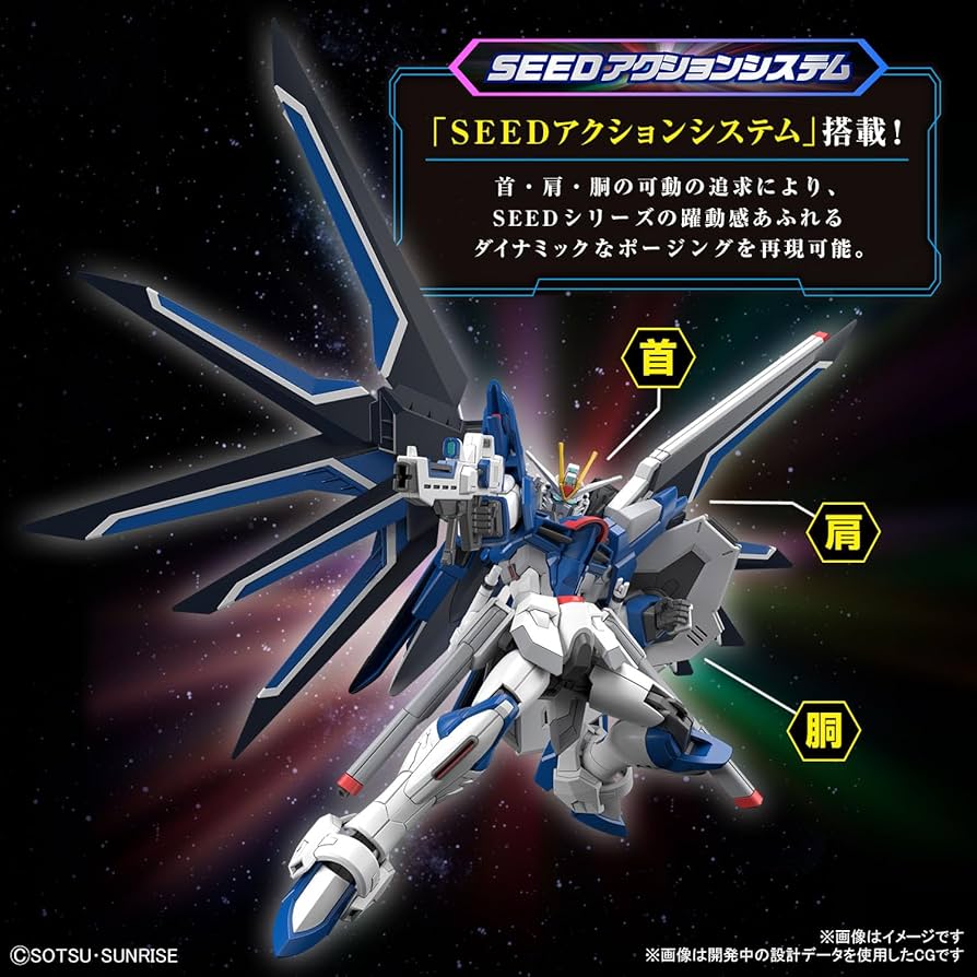 Amazon.com: Bandai Hobby - Mobile Suit Gundam Seed Freedom - #243