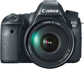 Amazon.com : Canon EOS 6D 20.2 MP CMOS Digital SLR Camera with 3.0