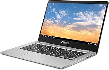 Amazon.com: ASUS Chromebook C423, 14.0