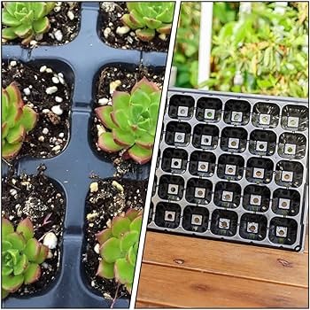 Amazon.co.jp: OUNONA 種まきトレー セルトレイ 育苗トレー 育苗ケース