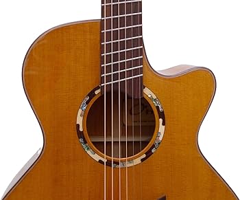 Amazon | O'tra ファンフレット マルチスケール・アコースティック