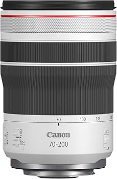Amazon.com : Canon RF70-200mm F4 L is USM (4318C002) : Electronics