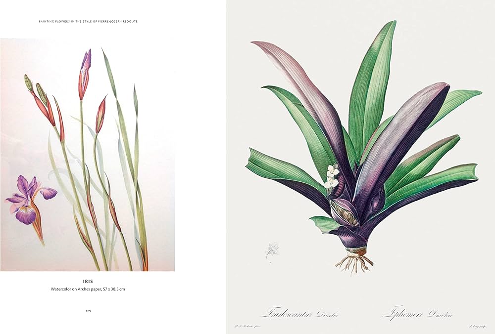 71VGH2cAn3L._AC_UF1000,