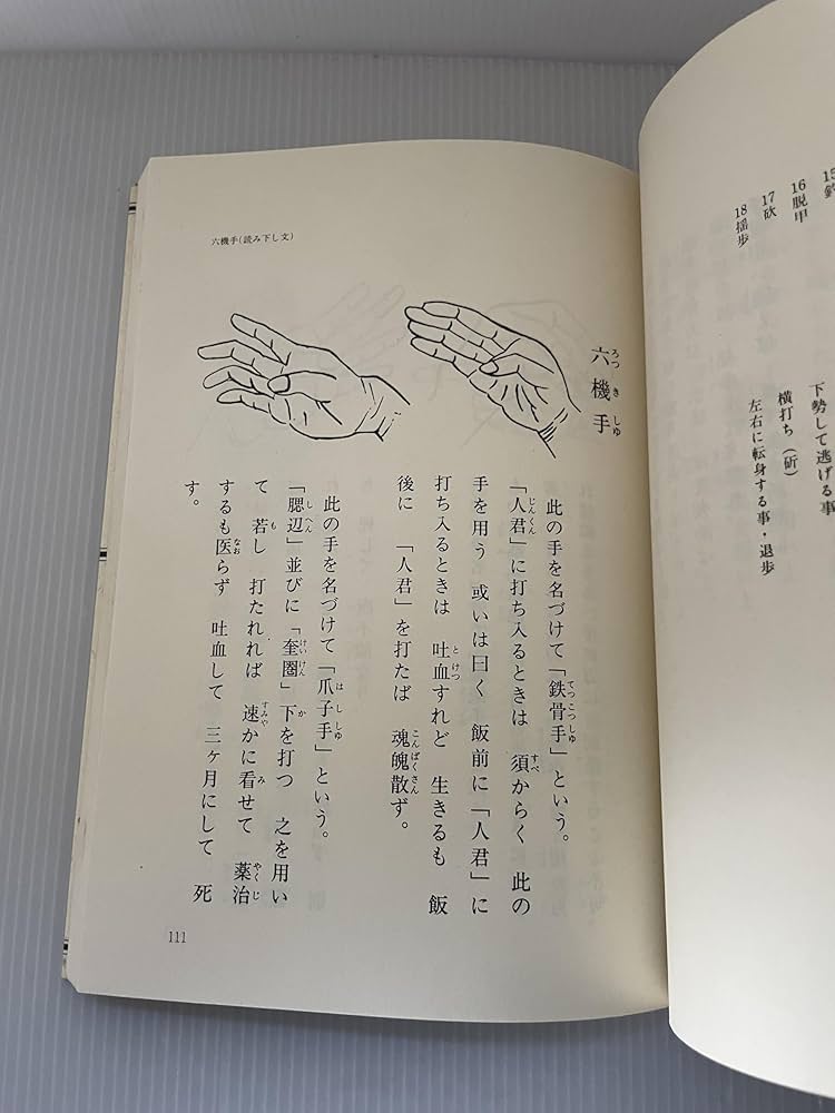 沖縄伝武備志 | 大塚 忠彦 |本 | 通販 | Amazon