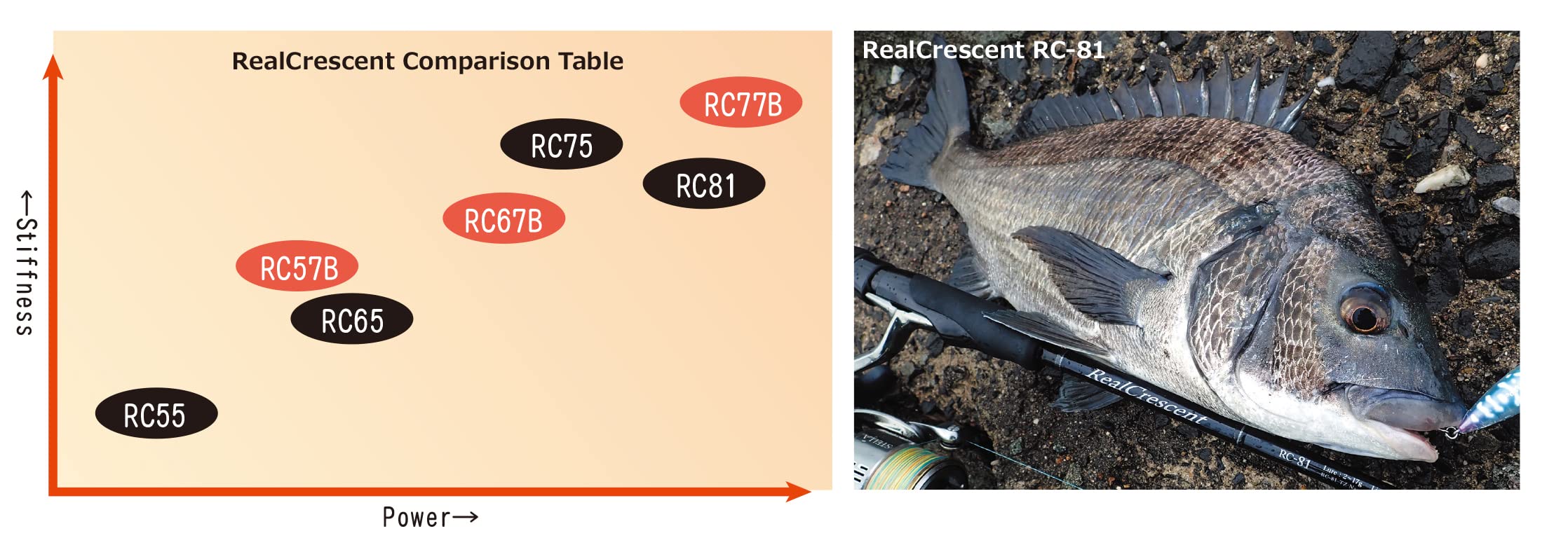 Amazon | RippleFisher RealCrescent RC-81/S/ripple fisher/リップル