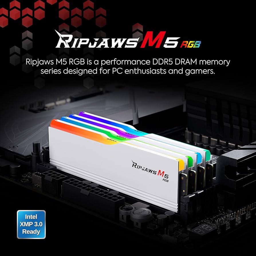 Amazon.co.jp: G.SKILL Ripjaws M5 RGBシリーズ DDR5 RAM (Intel XMP