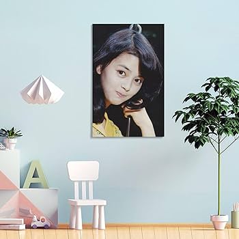 Amazon.co.jp: 岡田奈々 女優 歌手若い頃 レトロ 水着3 ポスター