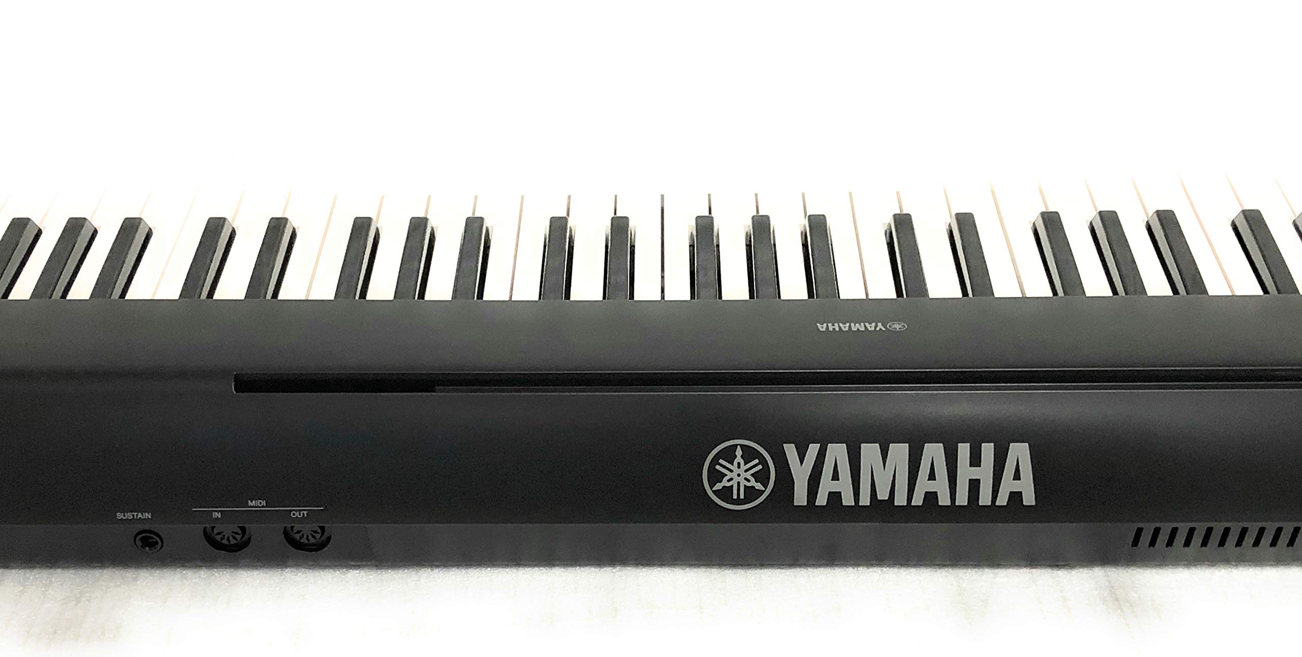 Amazon.co.jp: YAMAHA 電子キーボード piaggero(ピアジェーロ