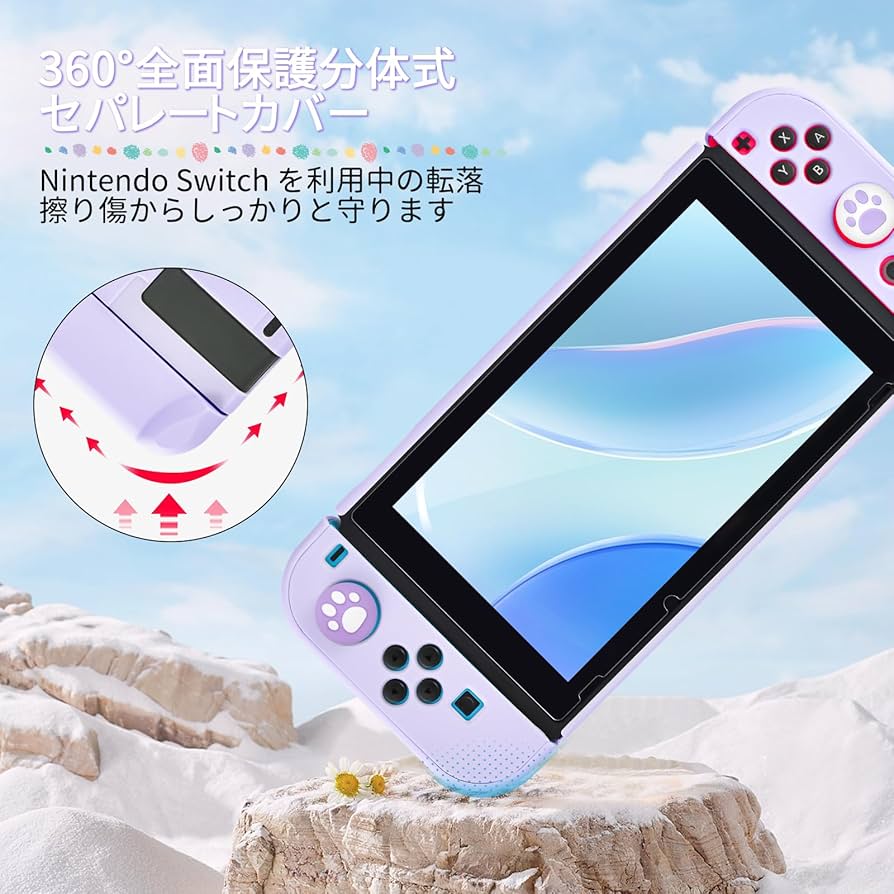 Amazon.co.jp: DLseego スイッチケース セット スイッチカバー